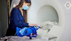 A researcher preps a baby for an MRI scan.