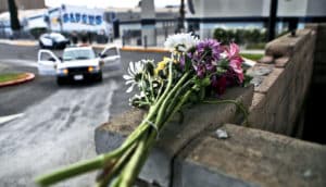 Flowers on a concrete wall in a school parking lot, with a police car in the background.