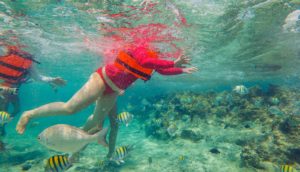 lower body of person in swimsuit in water by coral reef
