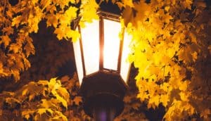 yellow leaves around bright street lamp
