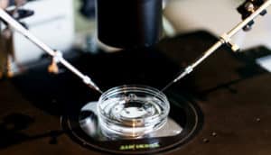 petri dish and instruments on microscope