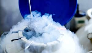 White steam billows from a container used for freezing eggs.