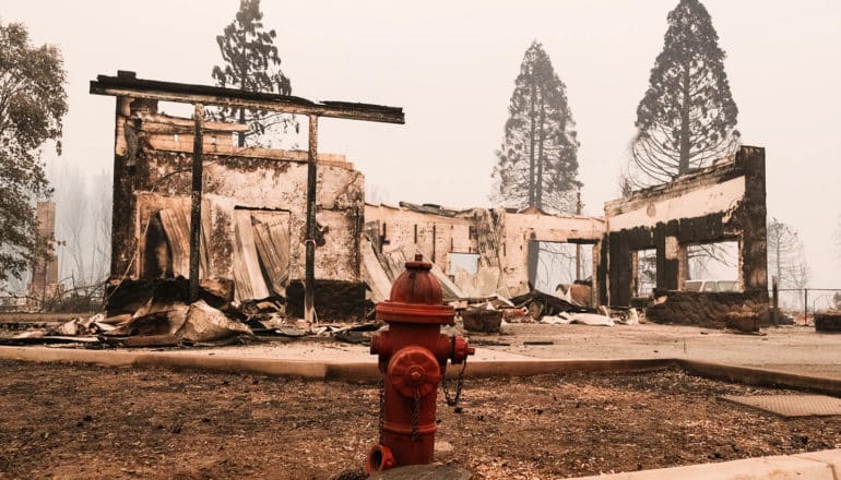 Lands memory determined scope of awful Dixie Fire