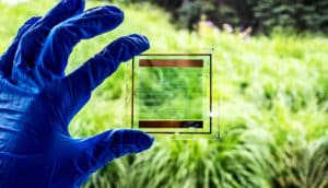 A researcher's blue-gloved hand holds a piece of the solar cell material in front of bright green grass.