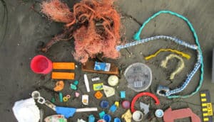 Trash is arranged on dark beach sand, including plastic, rope, and other debris.
