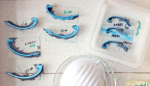 slices of clam shell marked with blue on lab tray