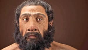 A reconstruction of a Homo neanderthalensis head with a beard and tied back hair.