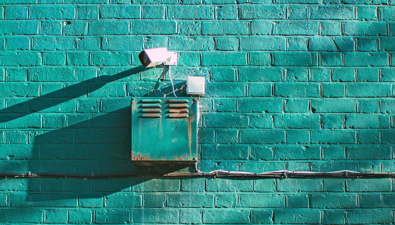 Watch These Viruses Most For Spillover To Humans Futurity