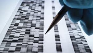 gloved hand holds pencil above DNA gel