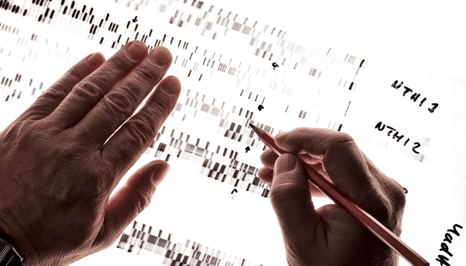 Math could help crack forensic cases 10x faster Futurity