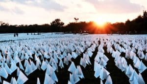 The sun sets behind some trees in the distance over hundreds of white flags in rows.