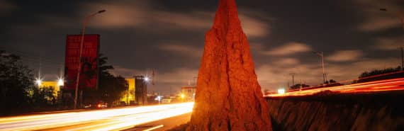 termite hill in city with blurred light from traffic