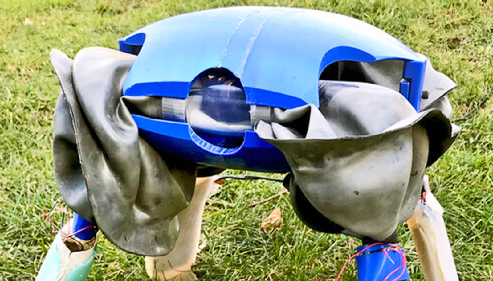 The turtle robot has a blue circular top with a hole in its center facing forward and stands on four legs.