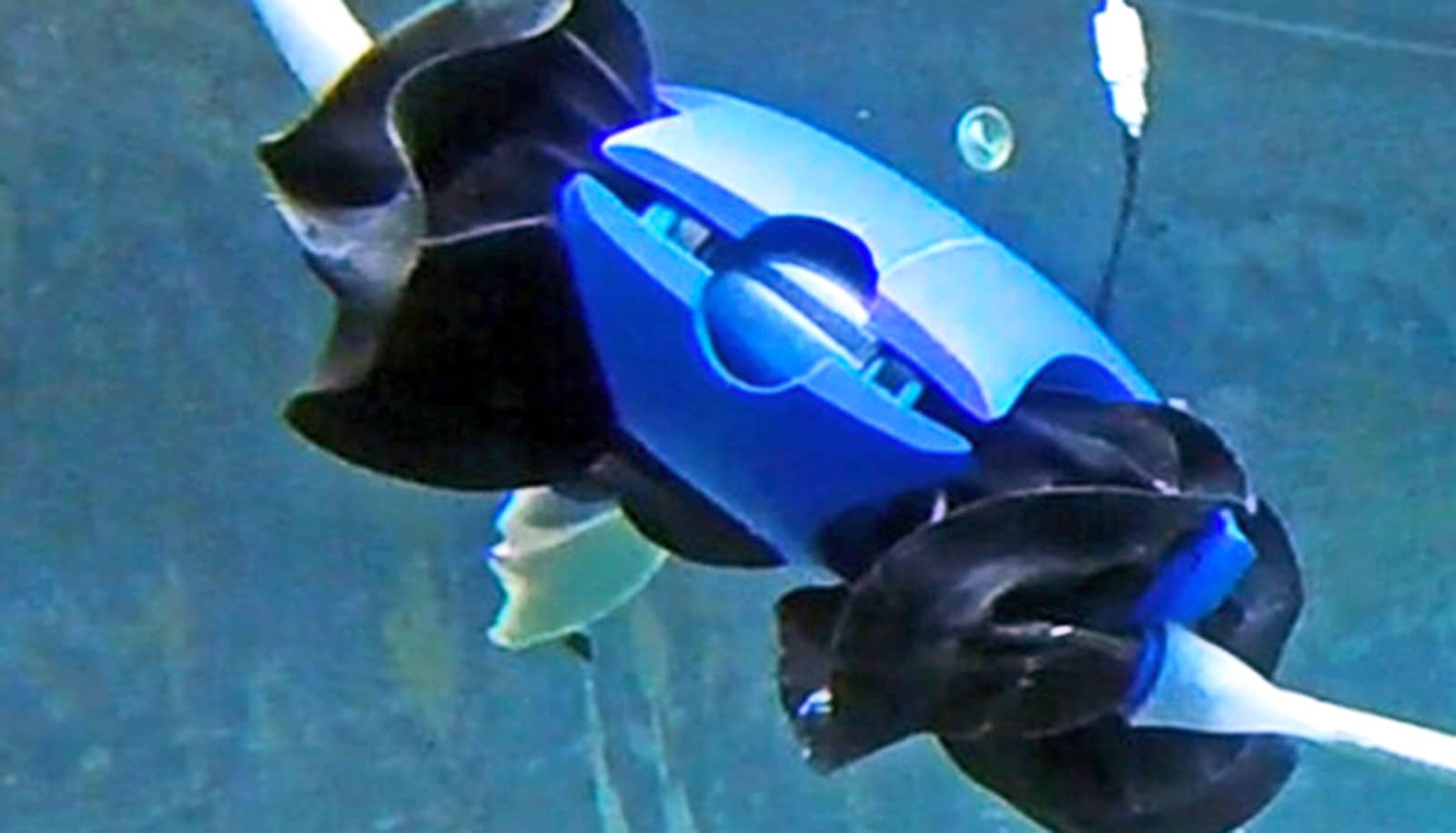 The blue turtle robot swims underwater with it's legs now acting as fins.