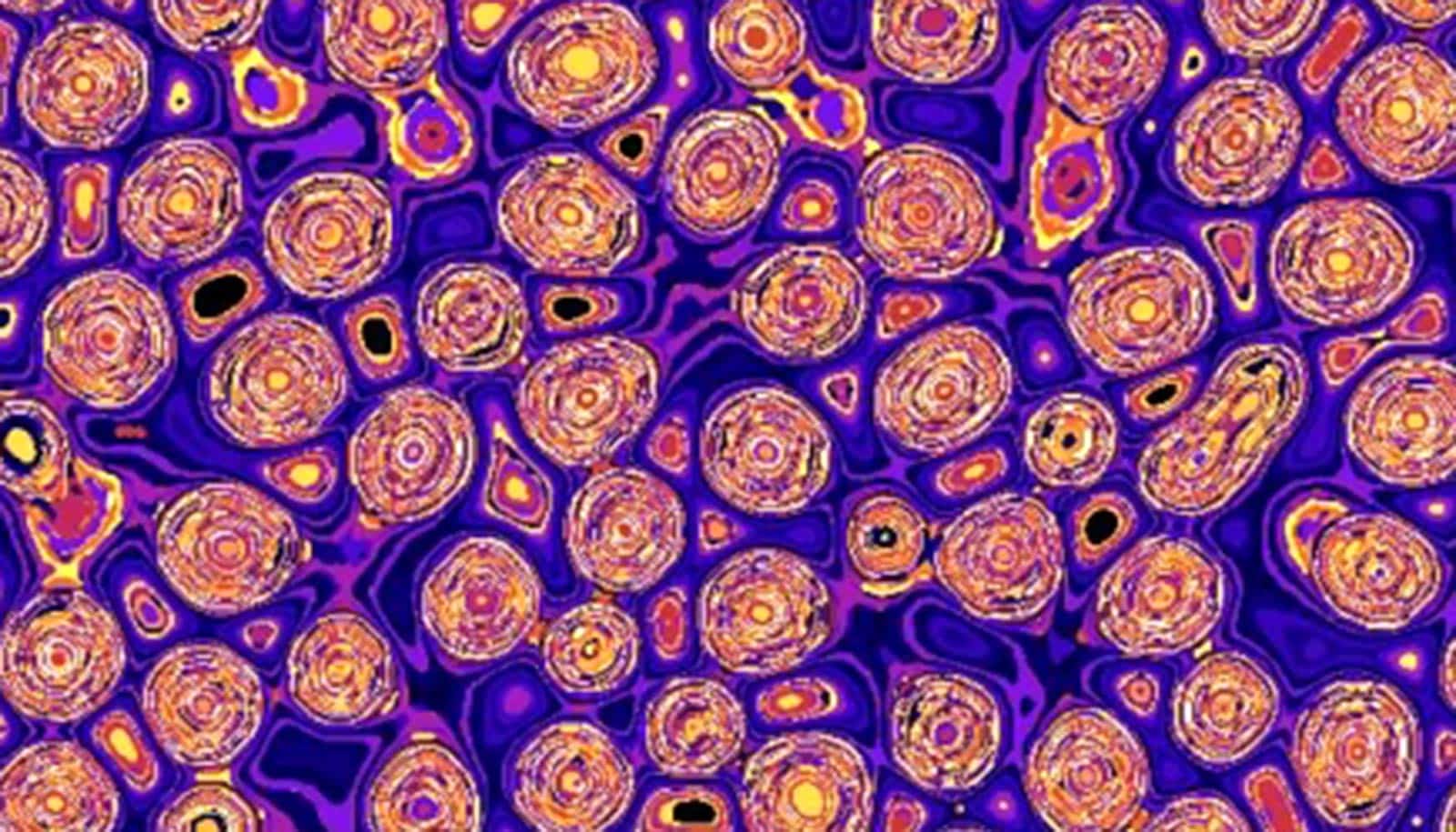 The simulation shows swirls of yellow and light purple against a dark purple background.