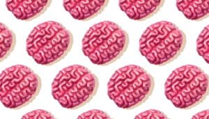Rows of small pink brains on a white surface.