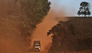 truck kicks up orange dust amid trees