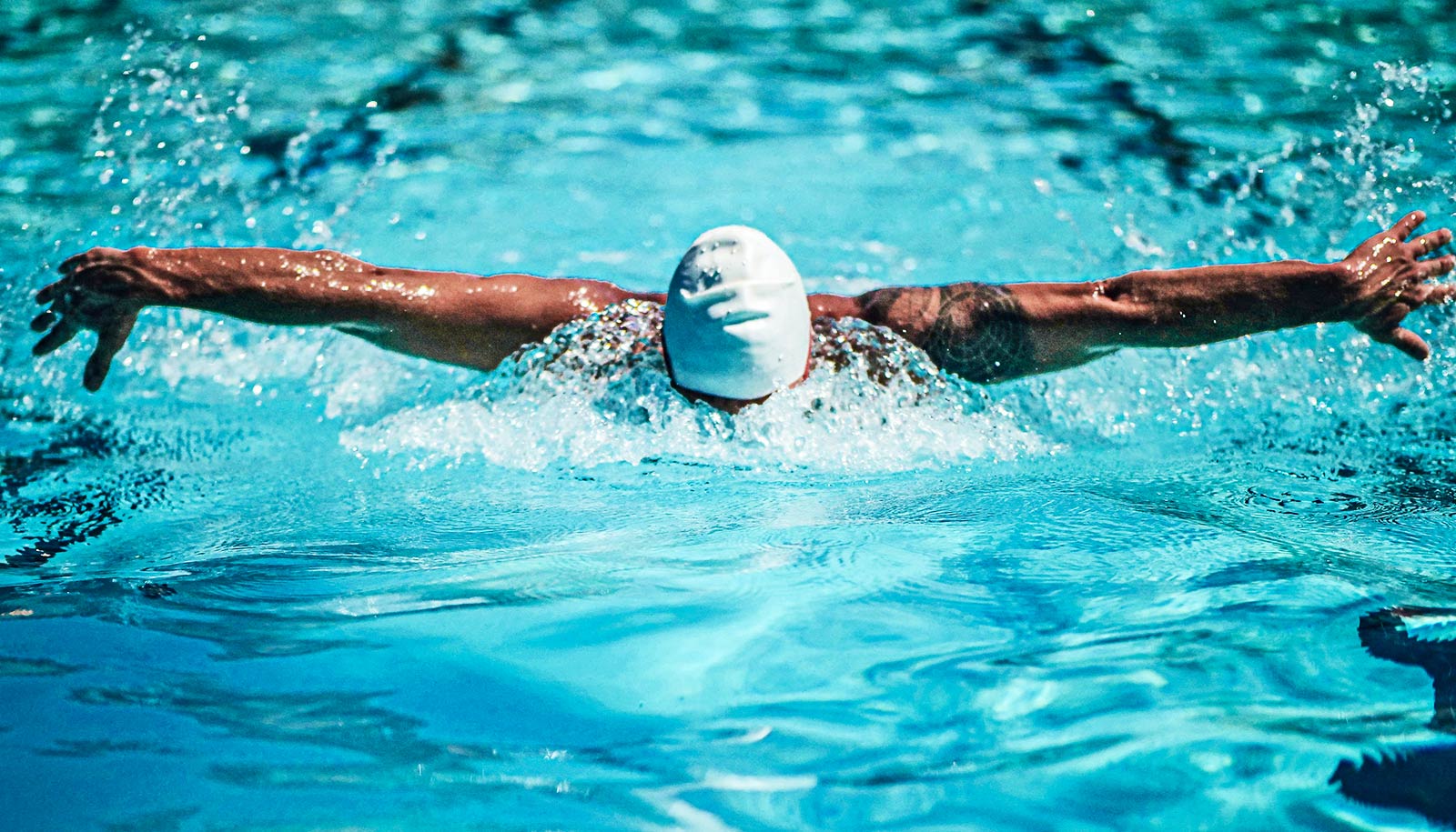 A swimmer does the butterfly stroke in an Olympic pool.