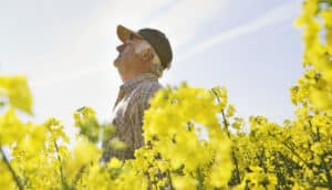 older adult holds face in sun in field of yellow flowers
