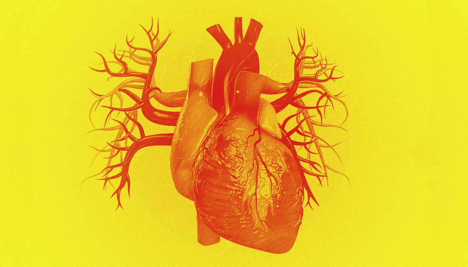 Great facts can ai diagnose cardiovascular disease faster 