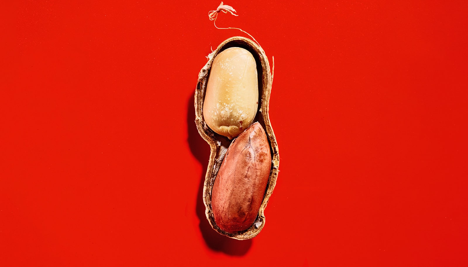 A peanut with half the shell off sitting on a red background.