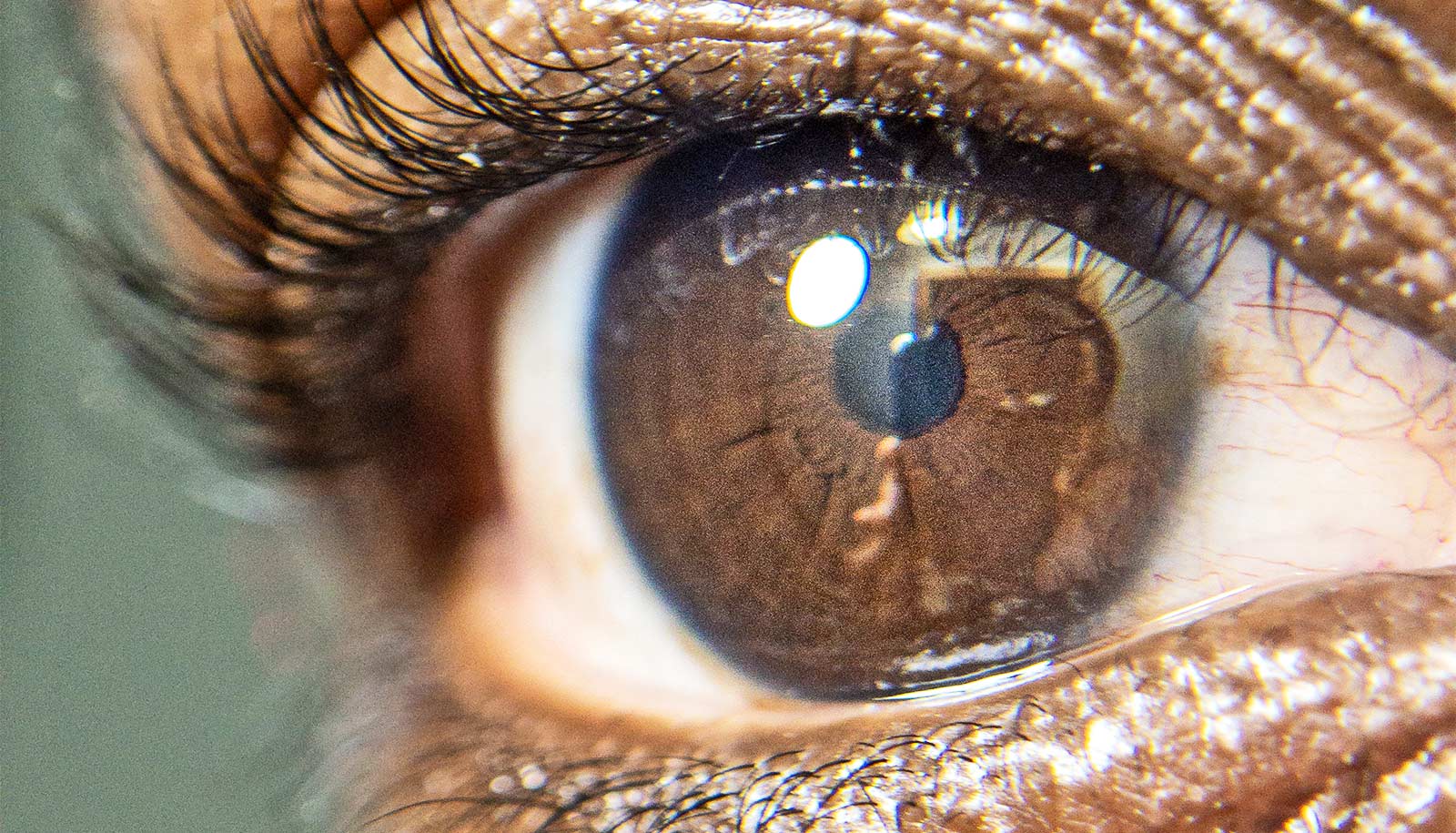 Target could lead to more effective glaucoma treatment - Futurity