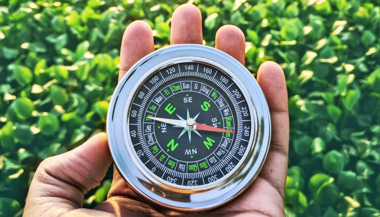 A person holds a compass in their left hand with leafy greens on the ground behind it.