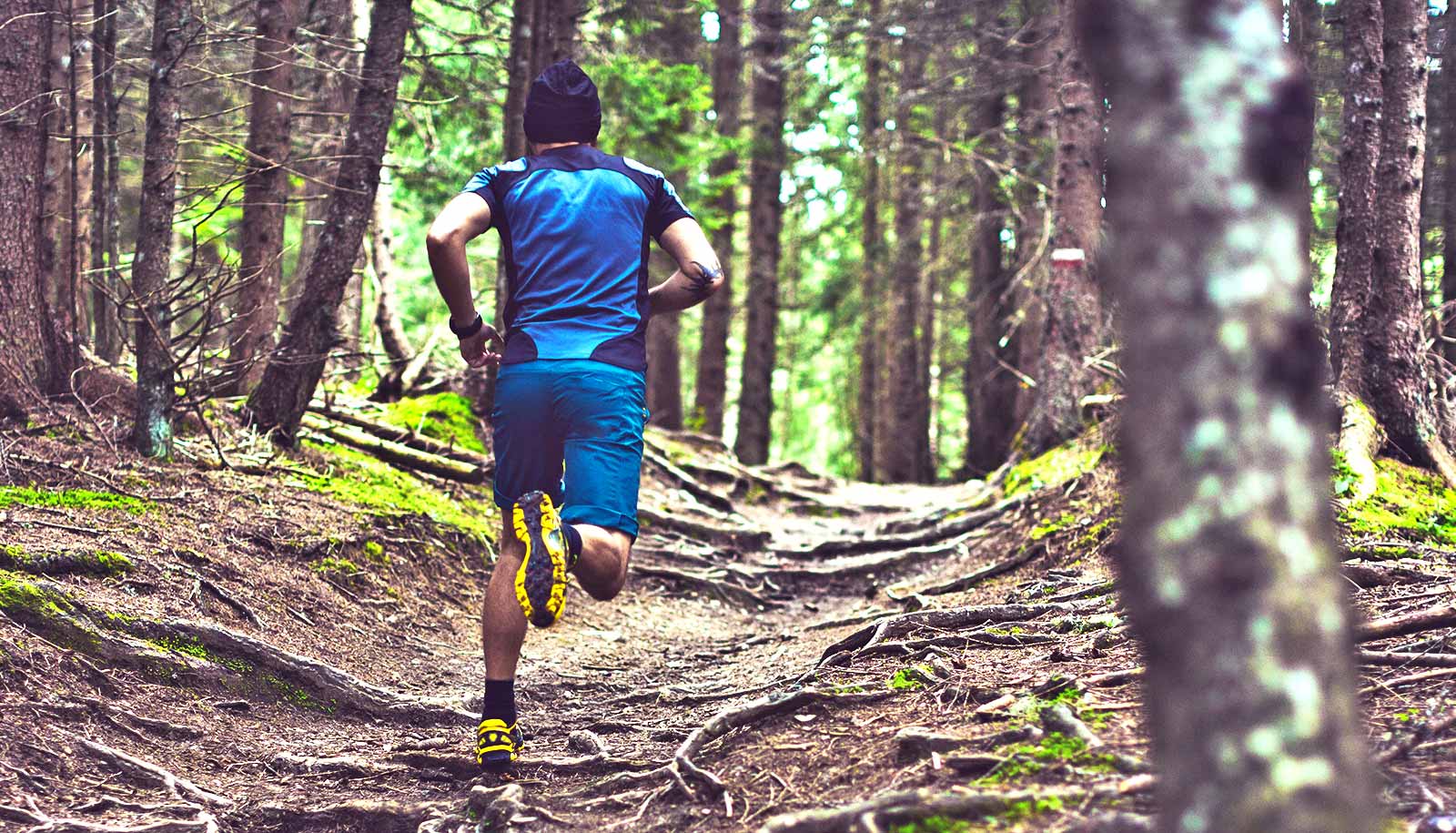 https://www.futurity.org/wp/wp-content/uploads/2023/03/running-runners-bumpy-uneven-terrain-1600.jpg?utm_source=chatgpt.com