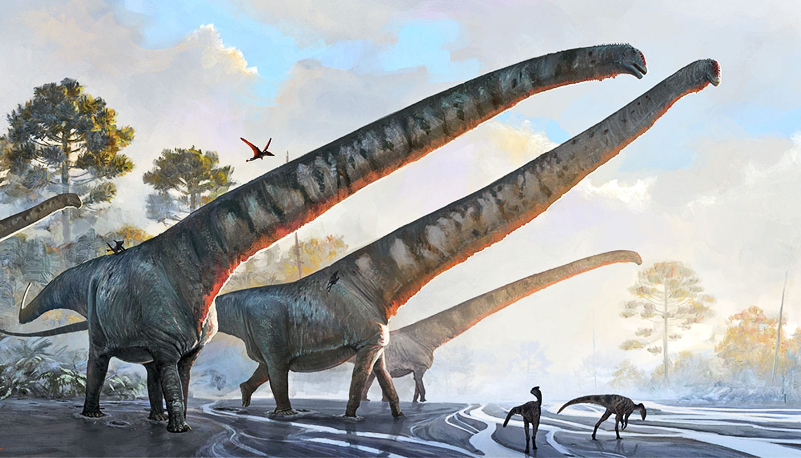 Several sauropods with extraordinarily long necks stand at the edge of a river.