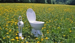 toilet in open field of flowers