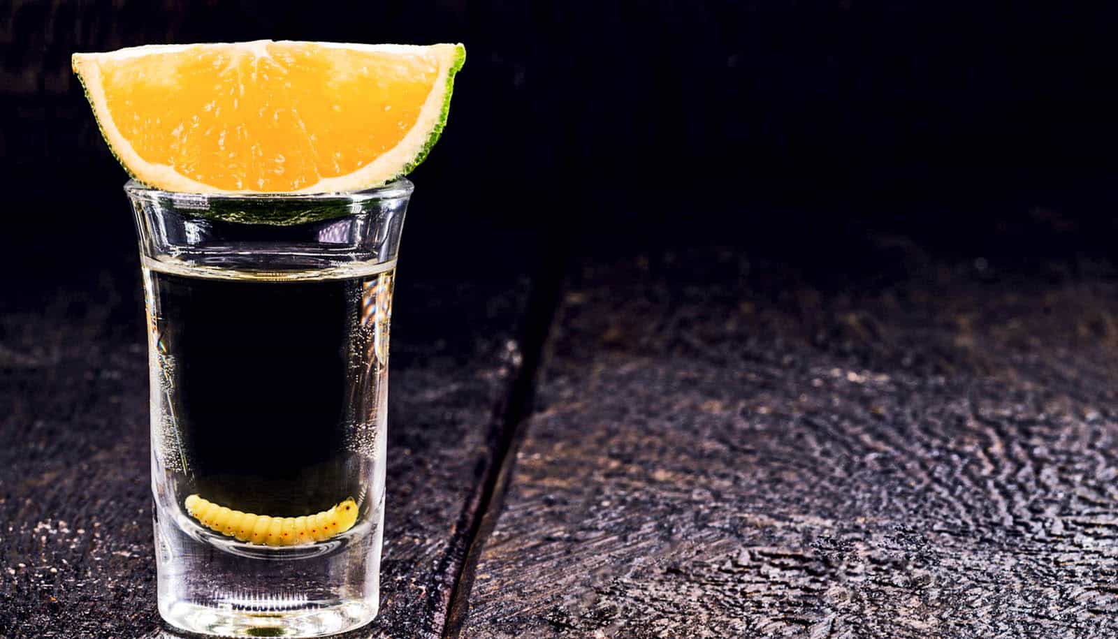 tequilaorm i snapseglas, citrusskive på toppen