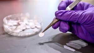 gloved hand holds white disc in tweezers