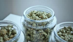 glass jars of marijuana