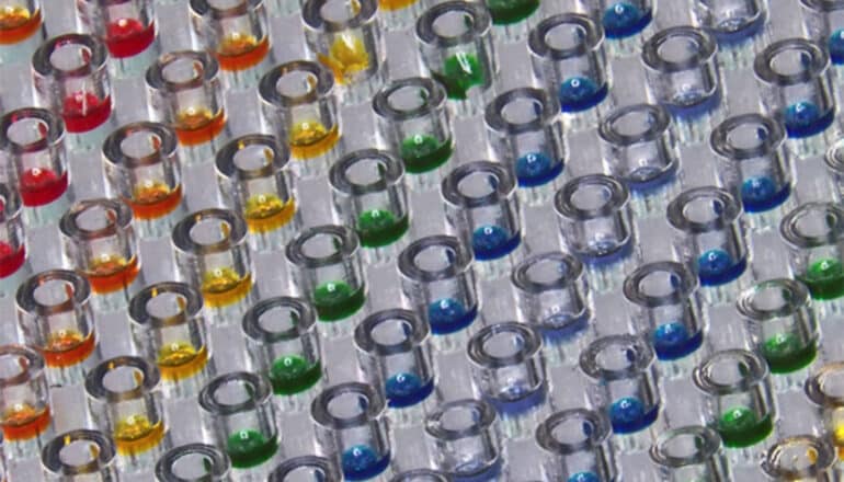 Small clear plastic wells with colorful particles in them.