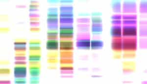 colorful vertical bars of DNA sequencing