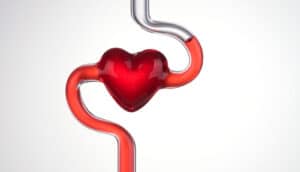 Red liquid in a tube with a heart-shaped chamber.