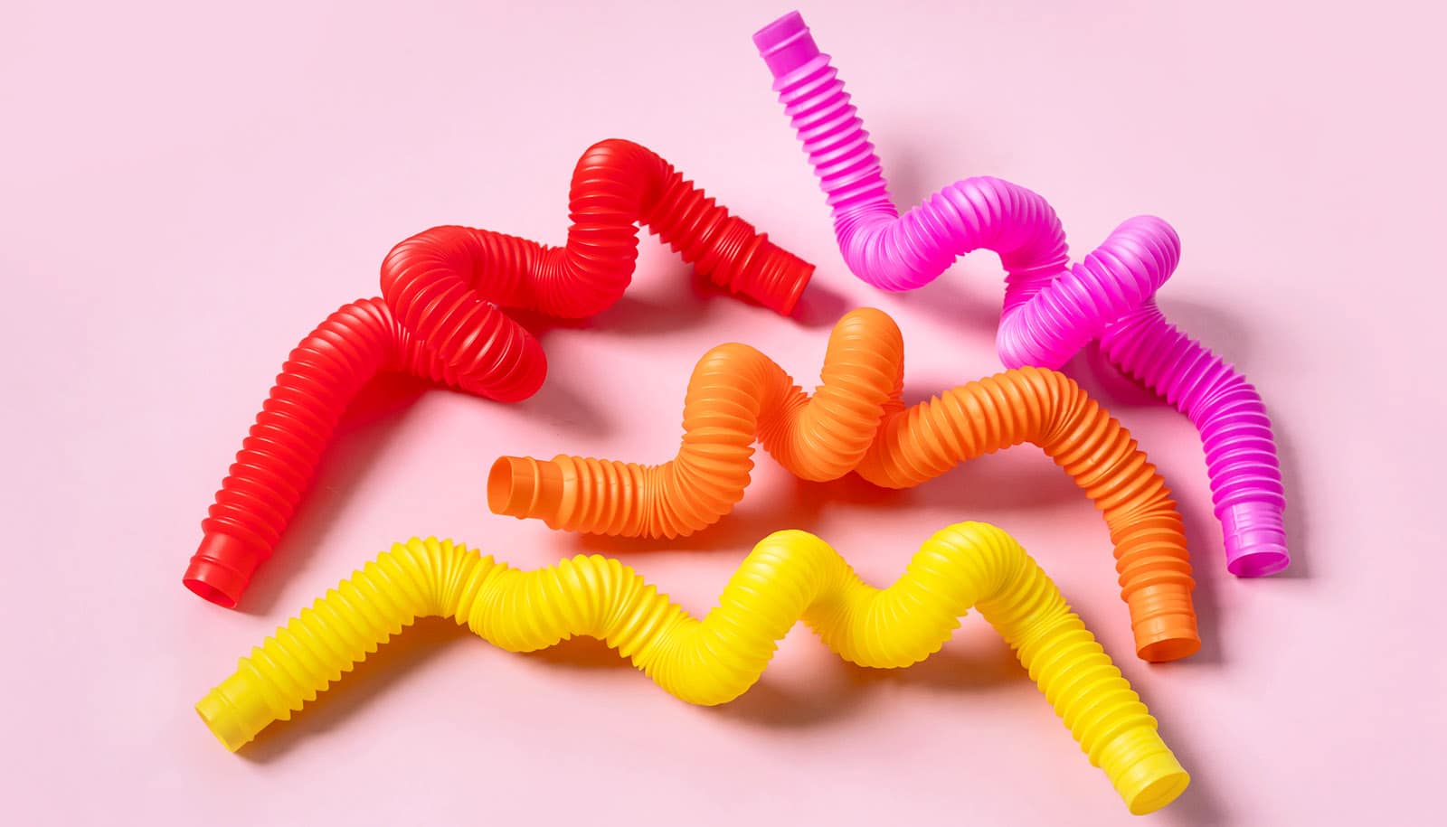 There's surprising variation in human gut anatomy Futurity