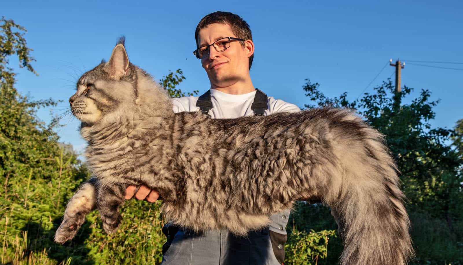 person holds enormous cat outdoors