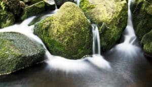 long-exposure photo of water flowing over mossy river rocks