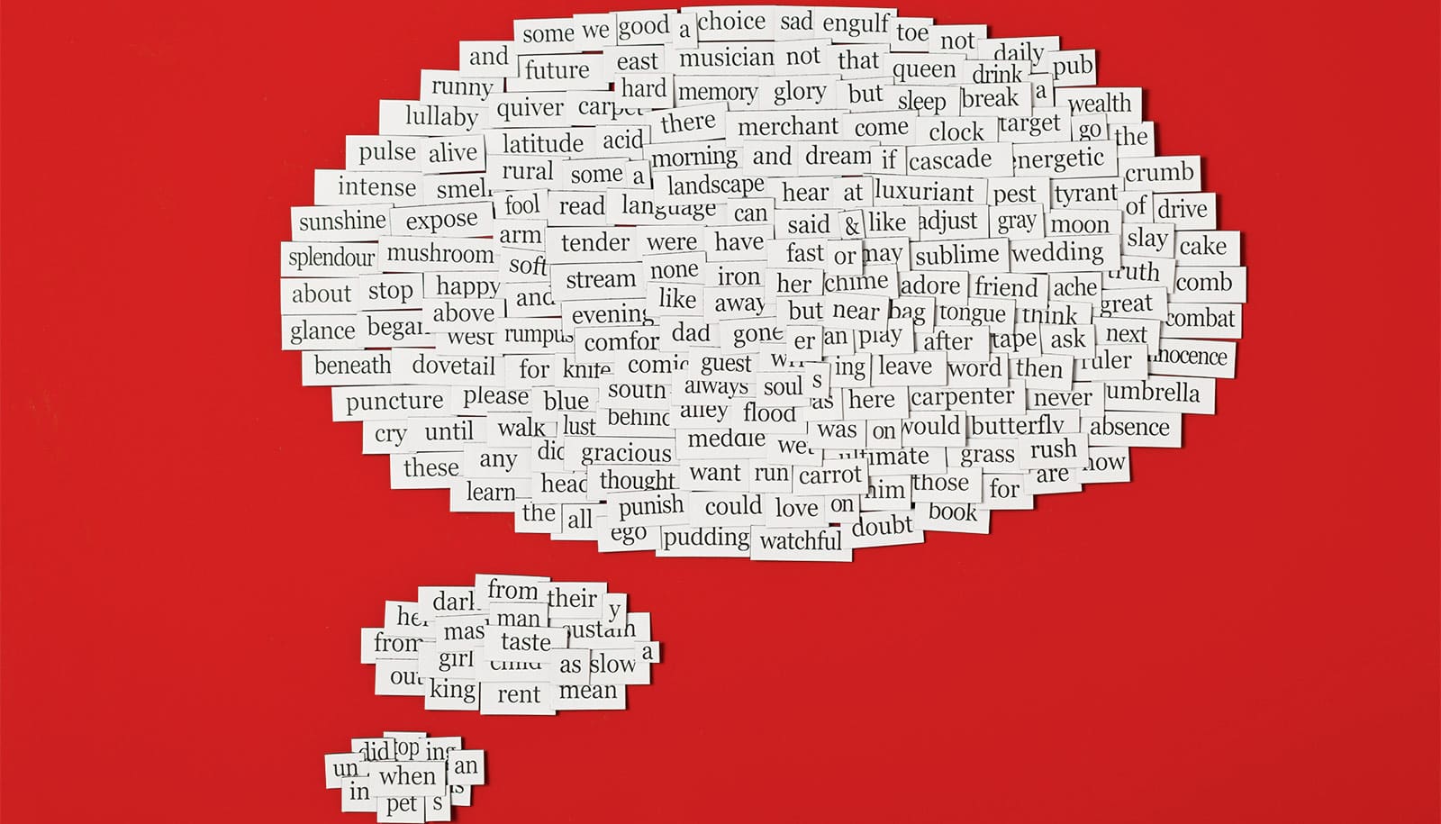 White fridge magnets with words in black text on them arranged into a thought bubble shape on a red background.