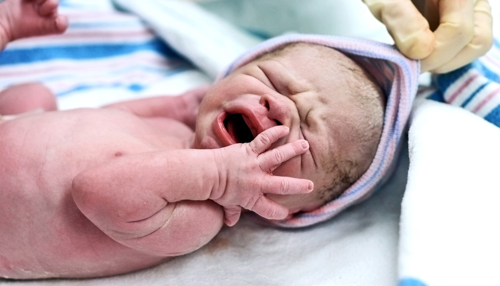 C section best sale bassinet