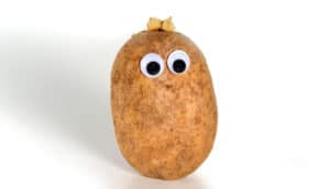 A lone potato on a white background has two plastic googly eyes on it.