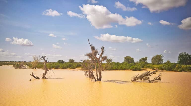 flooded river in desert