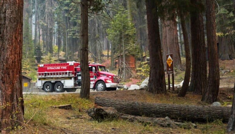 fire truck in forest