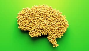 yellow plastic bits in shape of brain on neon green background