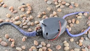 A robot with a main head, long tail, and two pincer-like appendages.