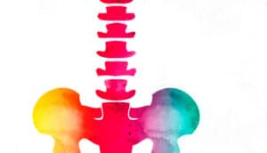 A spine and the top of a pelvis painted in watercolor on a white background.