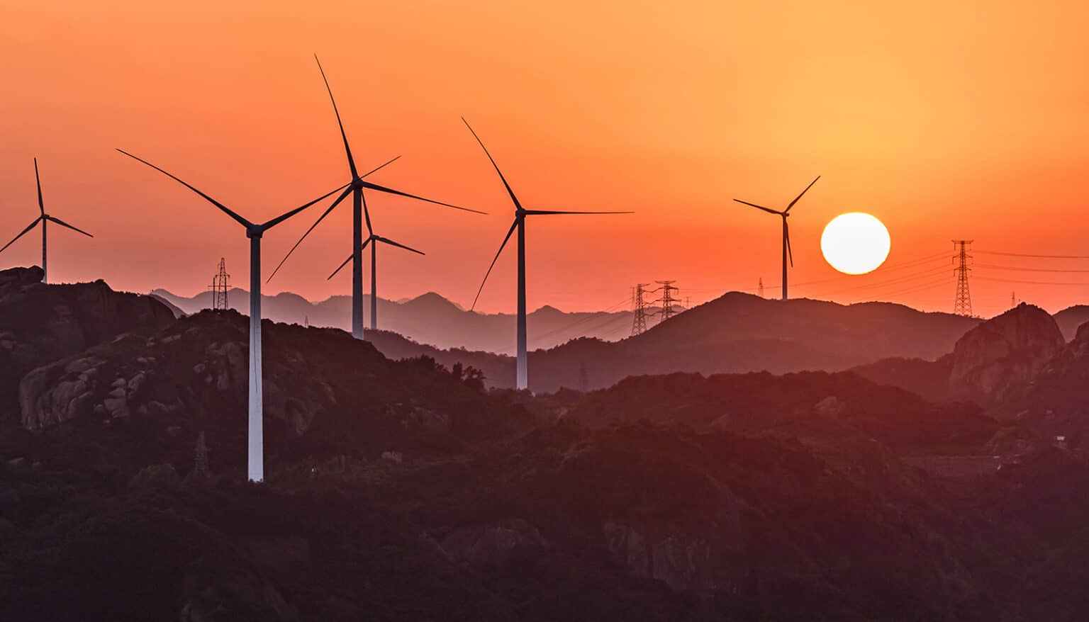 birdsrenewableenergy1600 Futurity