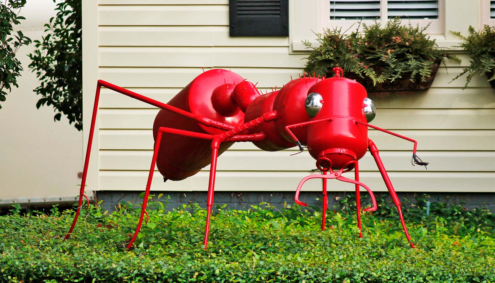 A red metal ant sculpture in a front yard.