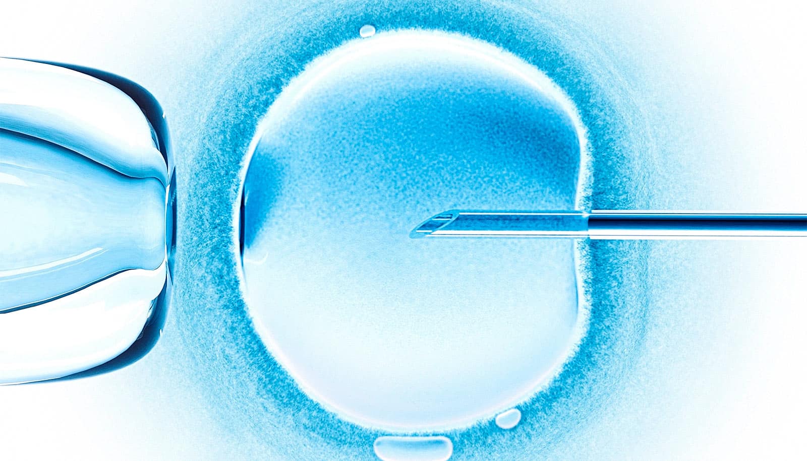 What you should know about the Alabama IVF ruling Futurity